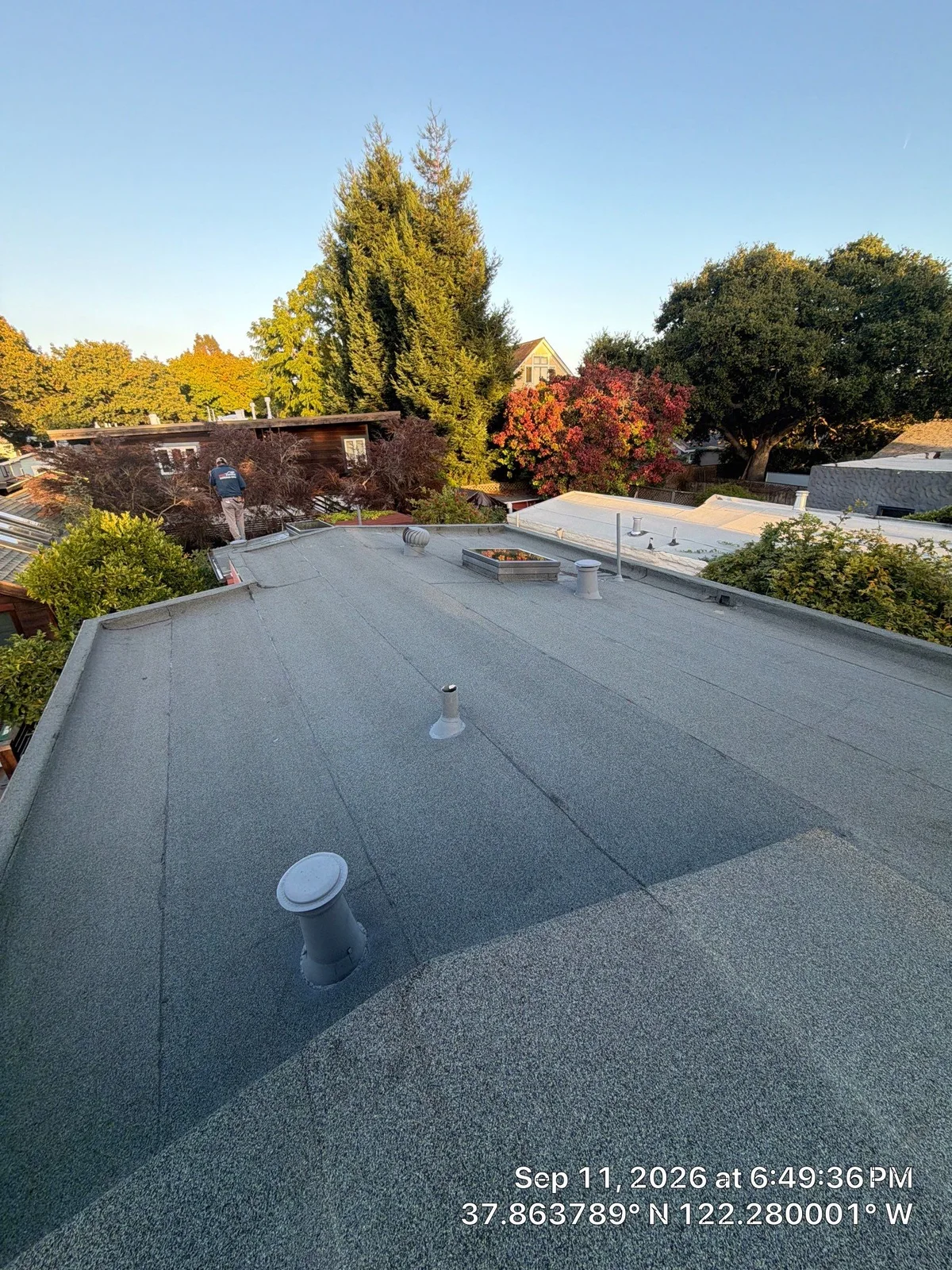Berkeley Roof Replacement — roofing field note in Berkeley